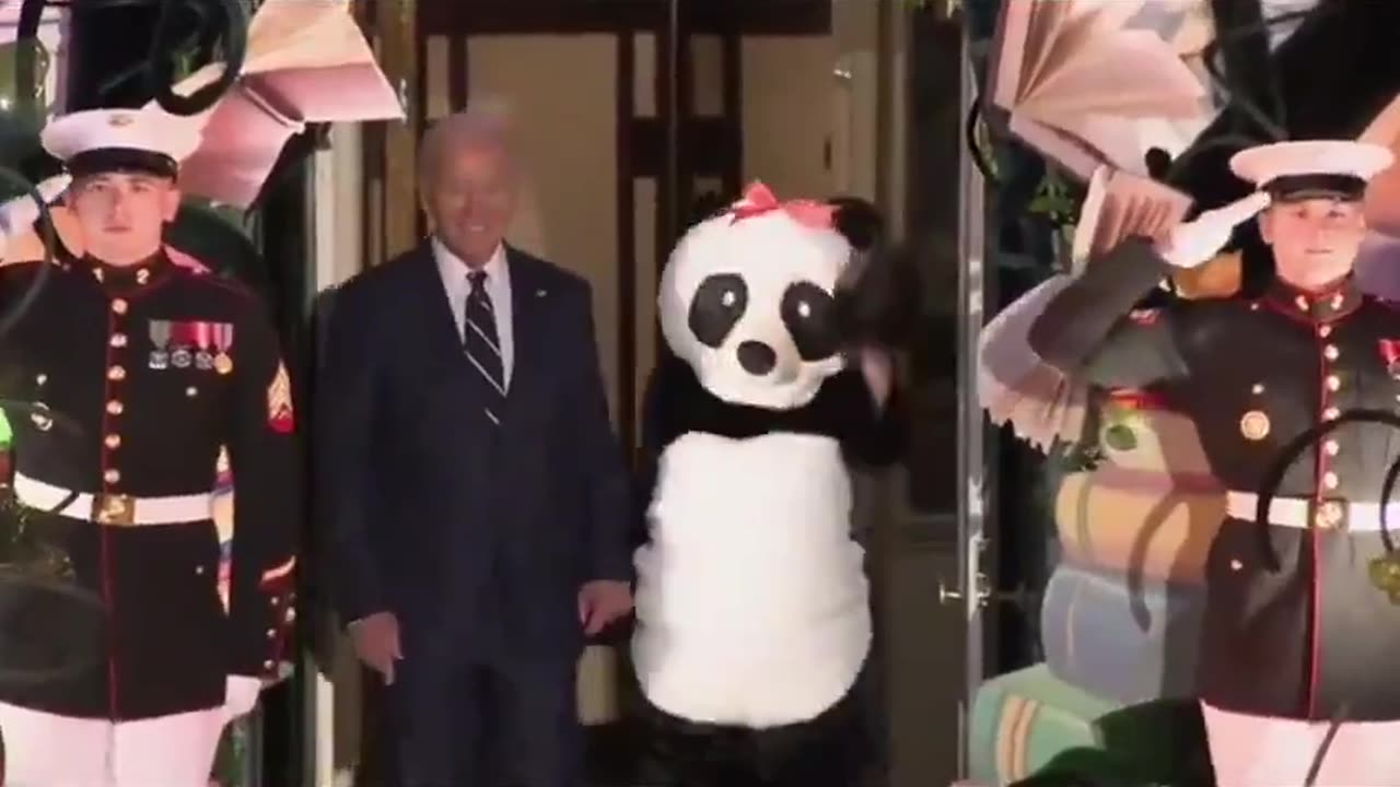 Joe biden has someone in a panda costume Halloween 2024. is it DrJill?