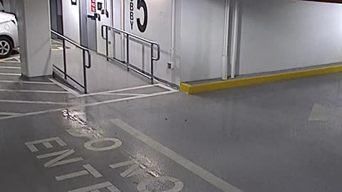 6080RHOBG3G305ANorthLobbyEntry_2021-01-06_15h00min03s307ms.mp4