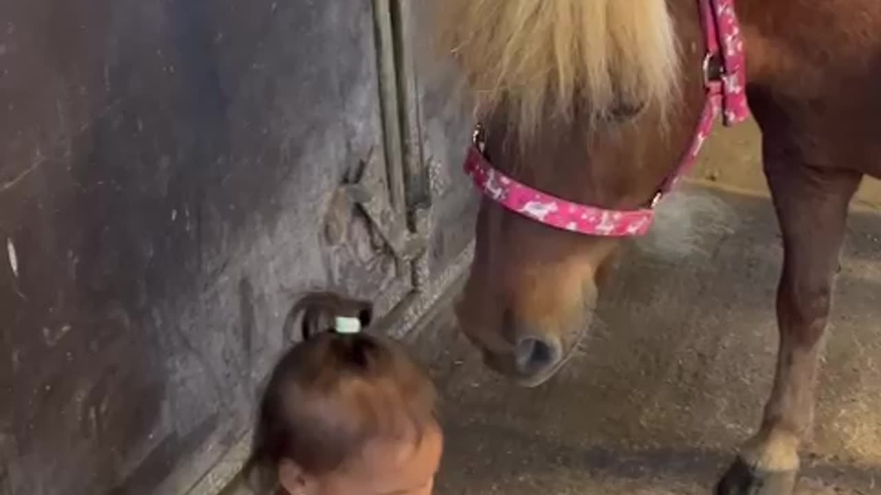 2-Year-Old Shares Fruit With Pony