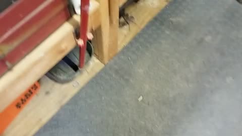 Chloe cleans up