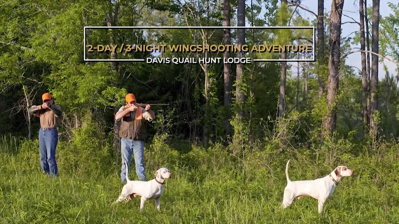 Family Expeditions Davis Quail Hunts 2-Day/3-Night Wingshooting Adventure