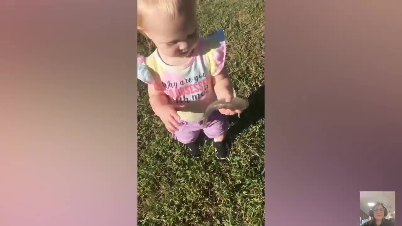 funny animal video compilation