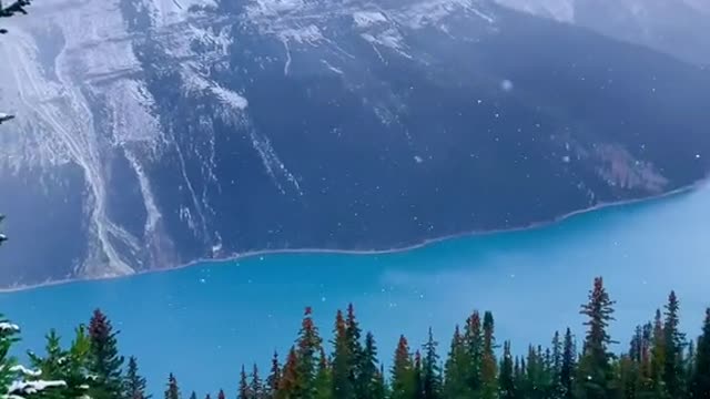 POV: you think Peyto Lake is 1000x prettier than Lake Louise