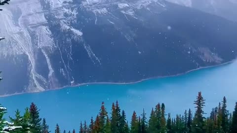 POV: you think Peyto Lake is 1000x prettier than Lake Louise