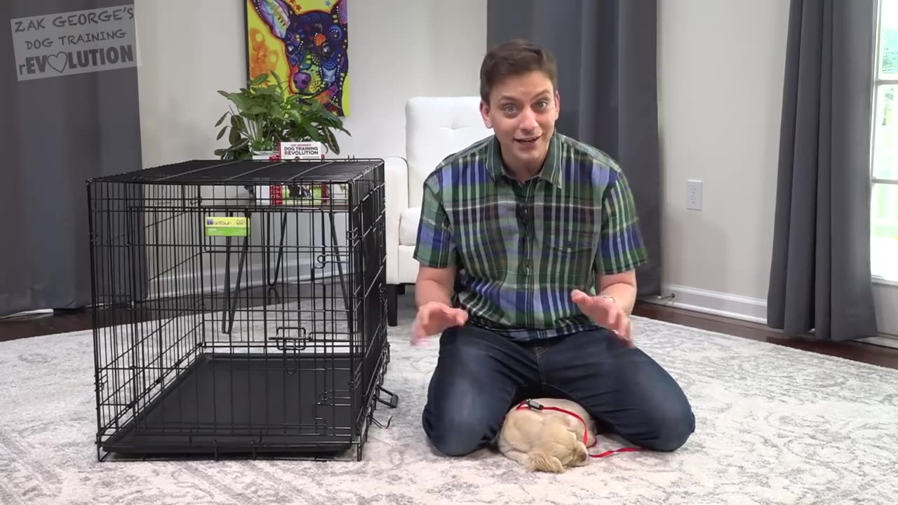 How to Crate Train a Puppy