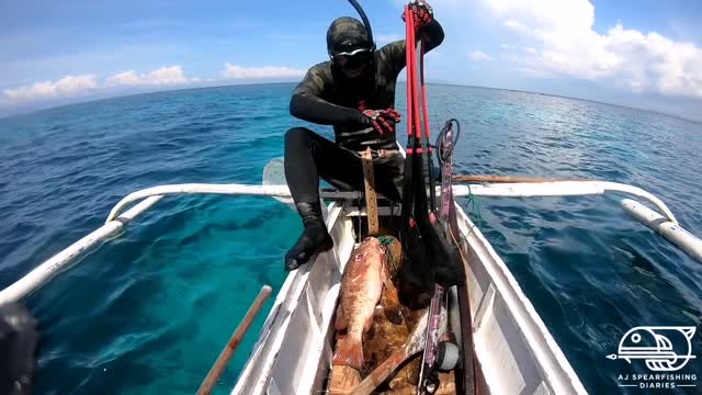 GREAT HAUL DAY!! SPEARFISHING PHILIPPINES 2021!!