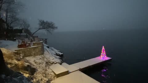 Brightly Lit Christmas Tree Rests Near Lake in New York