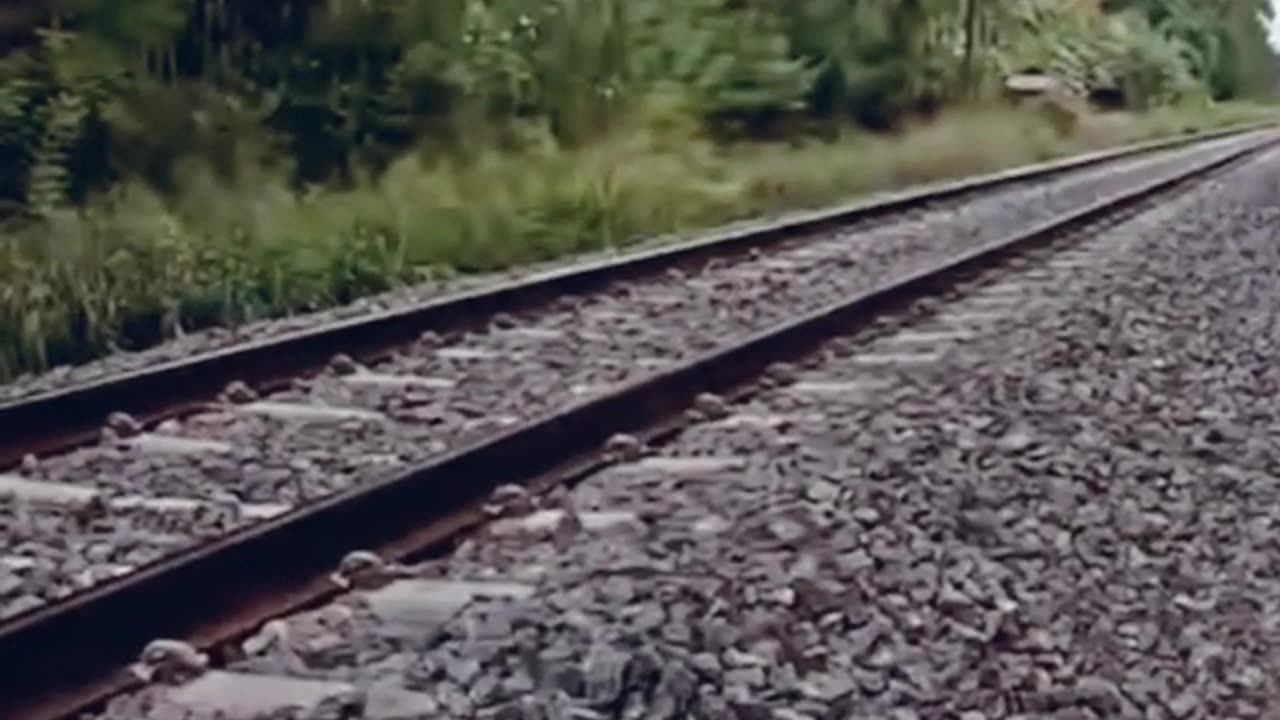 Certain train running 🙀
