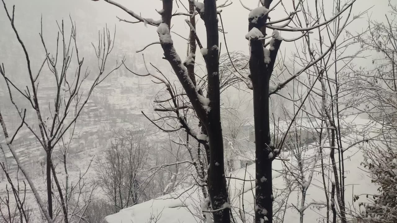 Snowfall Moments