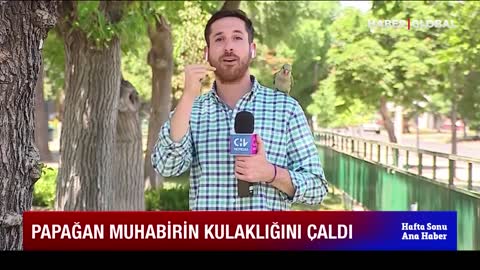 Hırsızlık Haberi Yaparken Papağan Tarafından Soyuldu! Film gibi Görüntüler