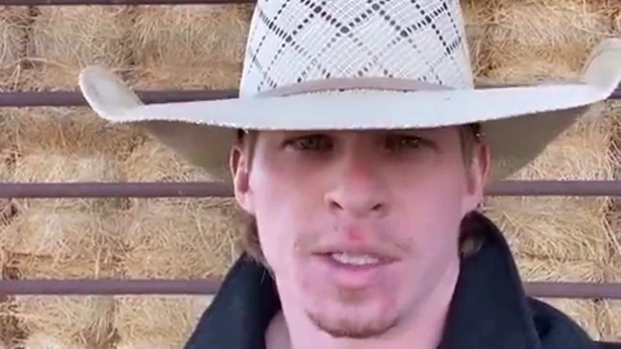 MRNA tested on cows - horrible statistics!