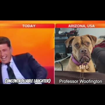 DOG INTERVIEW