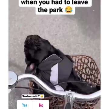 when me & the park cannot part