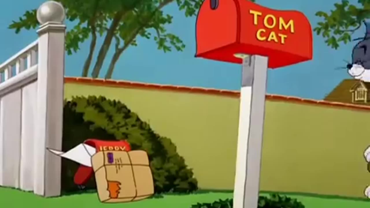 Tom and jerry - Life with tom