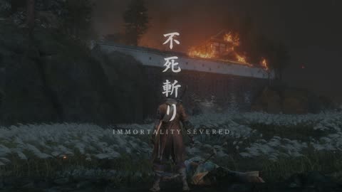 Sekiro - Vergil's Moveset vs Isshin The Sword Saint