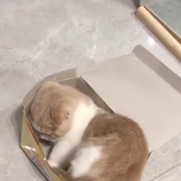 Ini cocok untuk kado temen nih, tinggal bungkus🤣