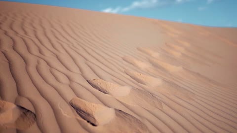Sahara Marocain