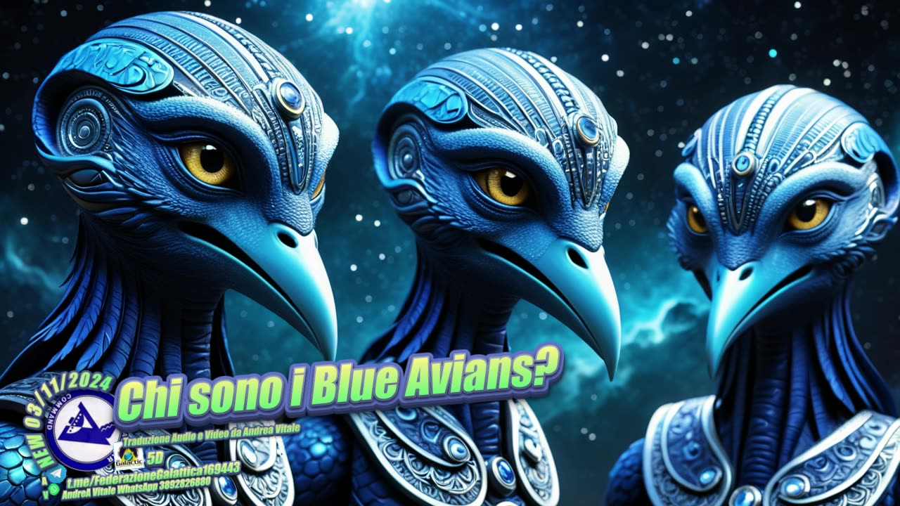 Chi sono i Blue Avians?