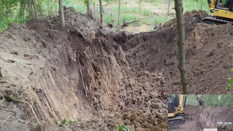 Cat 306 start on the swamp pond extension2