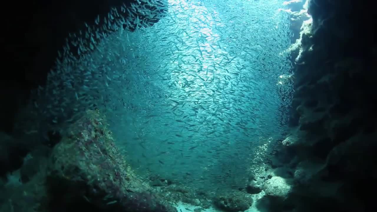 TRUMP'S BULL IN CHINA SHOP!