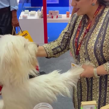 Light of True Care and Love - Benefits Everyone Around You