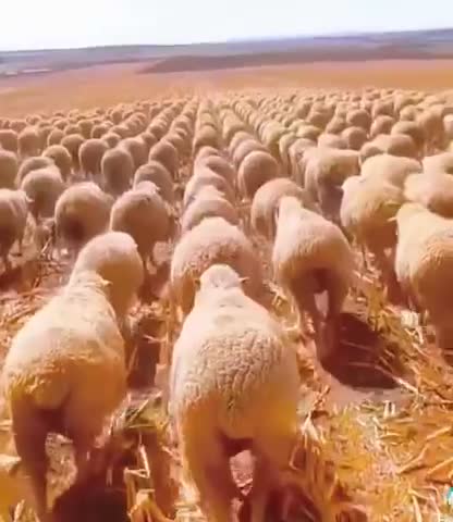 Lining up for the next booster