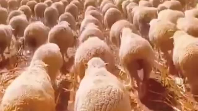 Lining up for the next booster