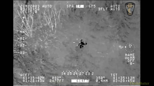 Helicopter FLIR shows burglary suspect hiding up in a tree