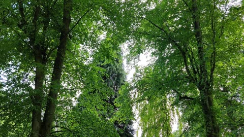 #ValleyGardens #Harrogate #Yorkshire #England