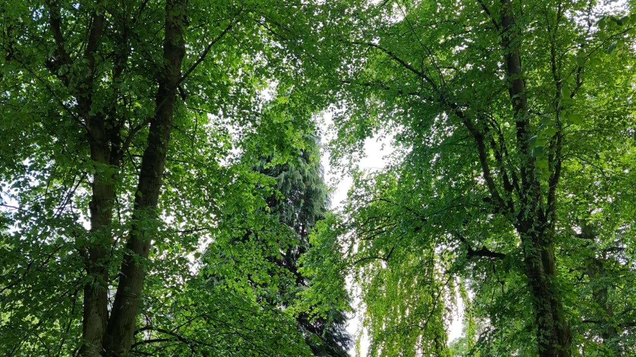 #ValleyGardens #Harrogate #Yorkshire #England