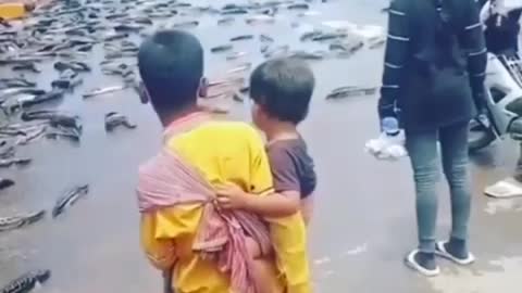 This is a beautiful and charming water-dwelling species