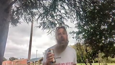 2023-07-01 (1) - test - Twitch Triskelina