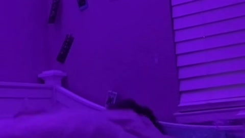 POV: you want to flip to the side of the bed where your facing the wall