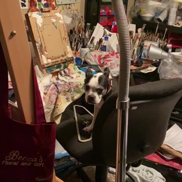 Dog doing art
