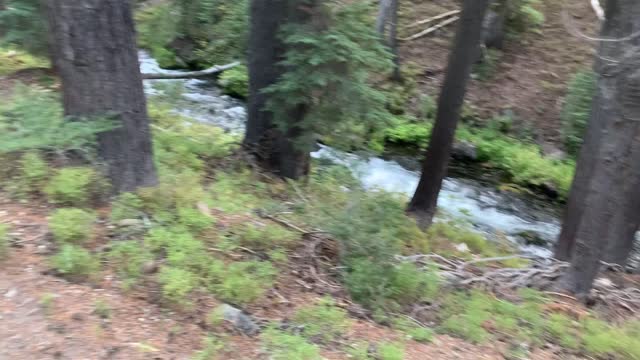 Central Oregon - Three Sisters Wilderness - Peaceful, Twisting Creek