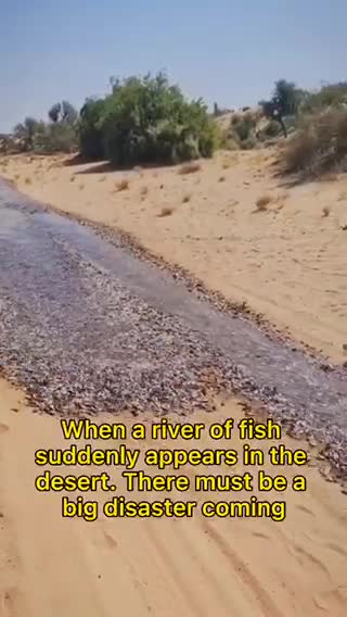 River O Fish in the desert anyone!