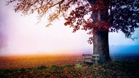 Relaxing Music | Sleeping, Meditation, Stress Relief | [6925] ⭐️