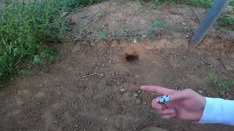 We Found a Baby Tortoise! - Morning Routine-15