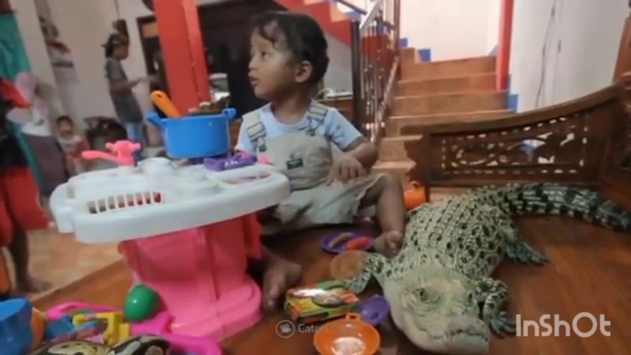 Adorable babies playing with tigers crocodile🐊. Dangerous pets part2and cats dogs