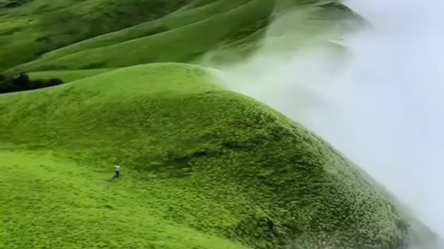Share this shocking scene with the person you like