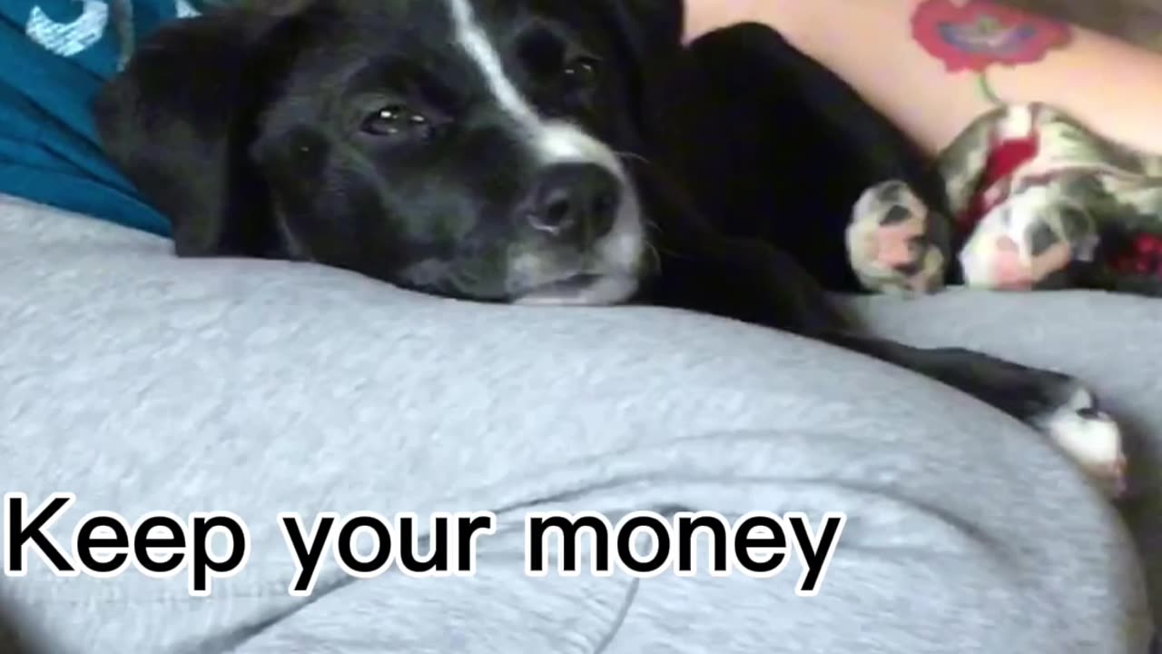 Would you sell?