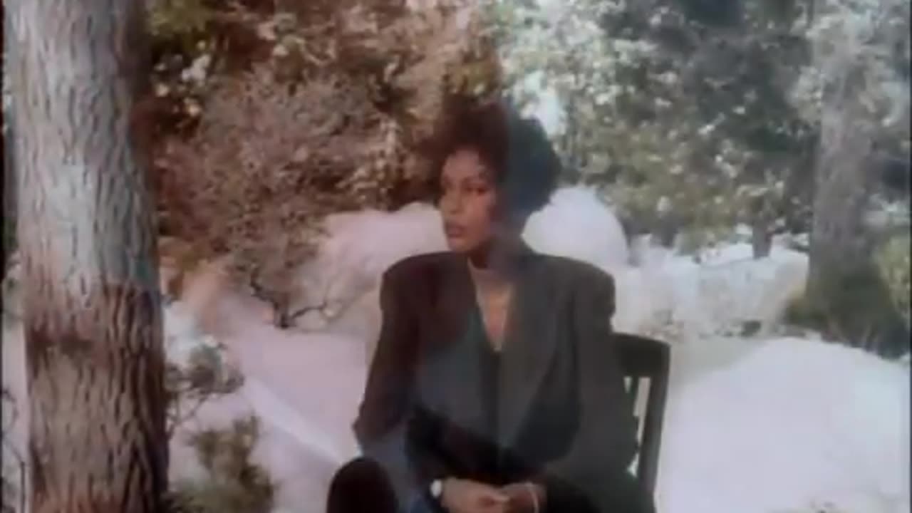 Whitney Houston - I Will Always Love You