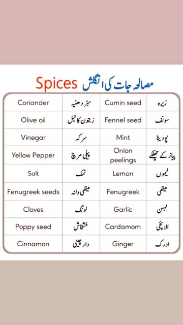 English To Urdu Sentences #englishtourdu #youtubeshorts #ytshort #englishshortsentences