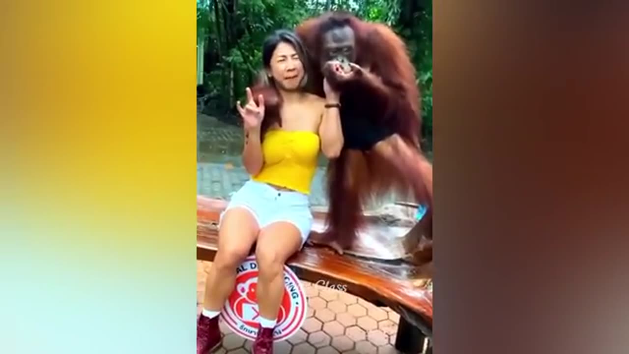 Funniest videos