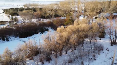 Flying the Drone at the Farm