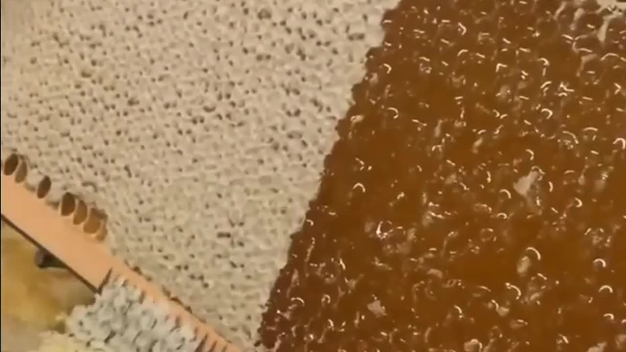 Satisfying Videos