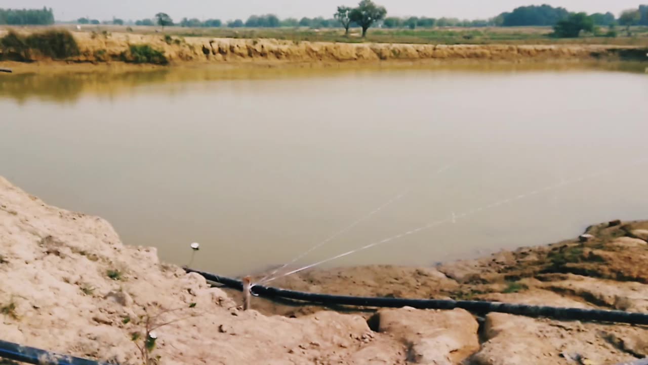 मछली पालन में आने वाली समस्याएं //machli palanmachli palan ka #ytshorts #shorts#fishing #fish