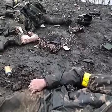 Ukrainian soldiers destroyed in the Kharkiv area, they wanted to enter Russian territory