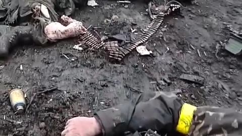 Ukrainian soldiers destroyed in the Kharkiv area, they wanted to enter Russian territory