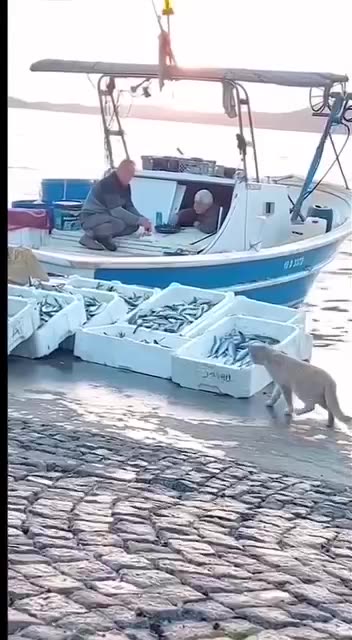 Small accounting error 😂😂😂😂